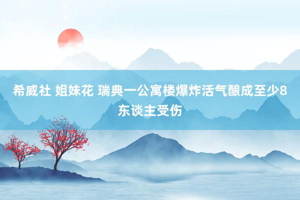 希威社 姐妹花 瑞典一公寓楼爆炸活气酿成至少8东谈主受伤