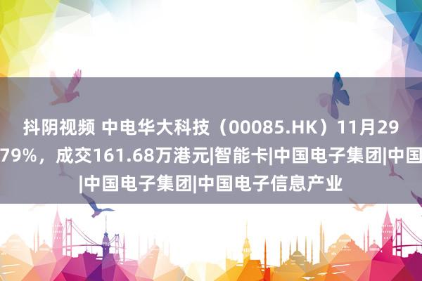 抖阴视频 中电华大科技（00085.HK）11月29日收盘飞腾0.79%，成交161.68万港元|智能卡|中国电子集团|中国电子信息产业