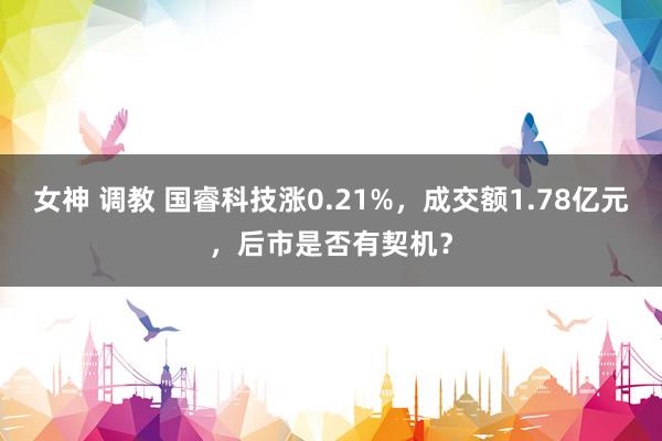 女神 调教 国睿科技涨0.21%，成交额1.78亿元，后市是否有契机？