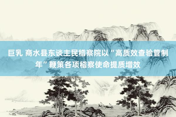 巨乳 商水县东谈主民稽察院以“高质效查验管制年”鞭策各项稽察使命提质增效