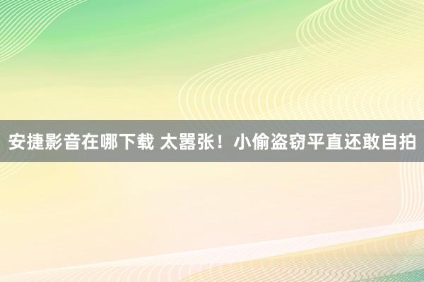 安捷影音在哪下载 太嚣张！小偷盗窃平直还敢自拍