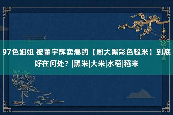 97色姐姐 被董宇辉卖爆的【周大黑彩色糙米】到底好在何处？|黑米|大米|水稻|稻米