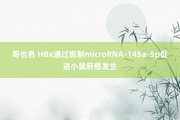 哥也色 HBx通过扼制microRNA-145a-5p促进小鼠肝癌发生