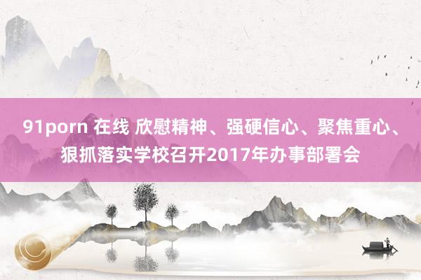 91porn 在线 欣慰精神、强硬信心、聚焦重心、狠抓落实学校召开2017年办事部署会
