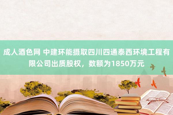 成人酒色网 中建环能摄取四川四通泰西环境工程有限公司出质股权，数额为1850万元