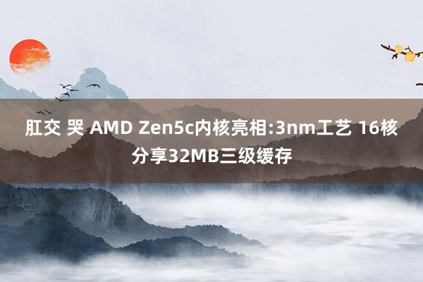 肛交 哭 AMD Zen5c内核亮相:3nm工艺 16核分享32MB三级缓存