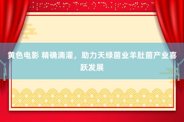 黄色电影 精确滴灌，助力天绿菌业羊肚菌产业喜跃发展