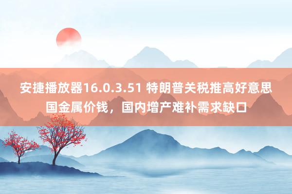 安捷播放器16.0.3.51 特朗普关税推高好意思国金属价钱，国内增产难补需求缺口